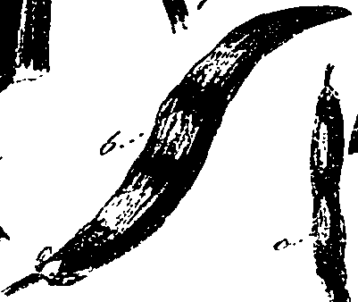 099/099330012100840_0.png