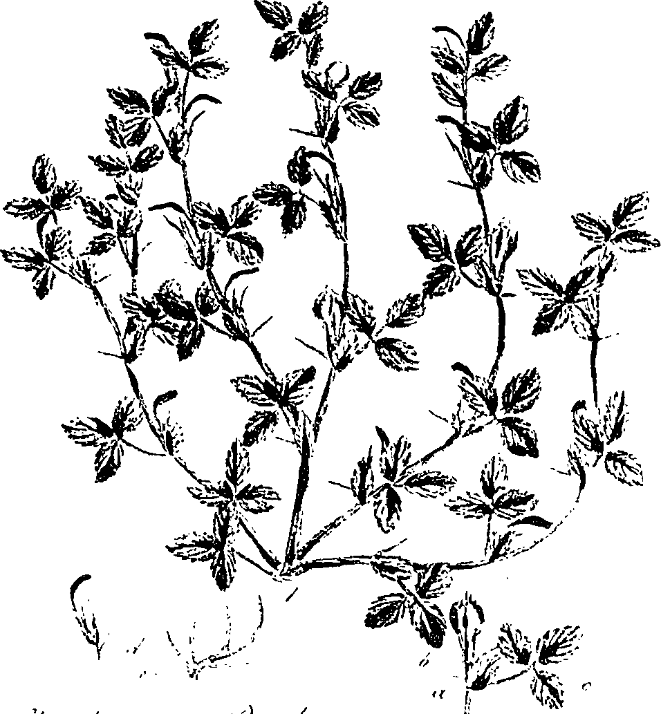 099/099330012100880_0.png
