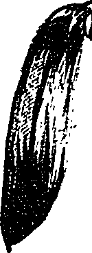 099/099330012100890_0.png