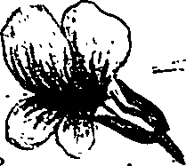 099/099330012100890_1.png