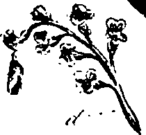 099/099330012100900_0.png