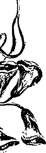 099/099330012100900_1.png