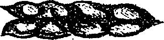 099/099330012100910_0.png