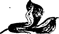 099/099330012100940_1.png