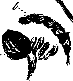 099/099330012100950_0.png
