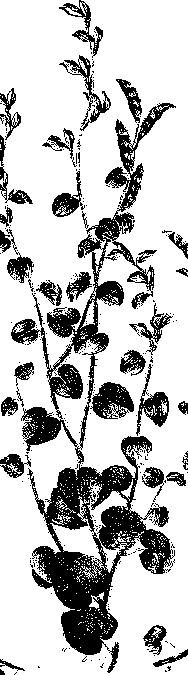 099/099330012100950_1.png