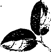 099/099330012100980_1.png