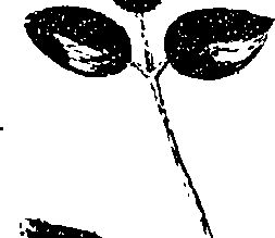 099/099330012100980_2.png
