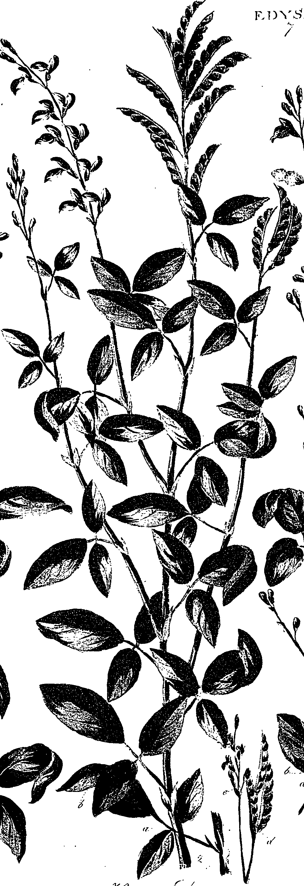 099/099330012101000_0.png
