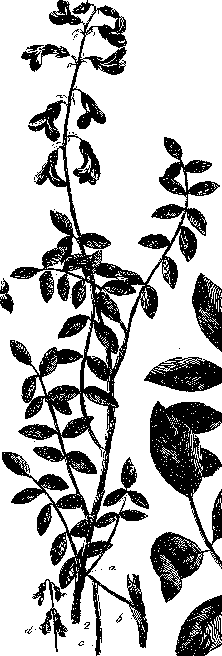 099/099330012101040_0.png