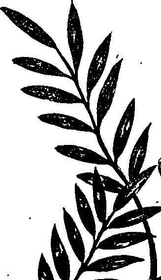 099/099330012101070_1.png