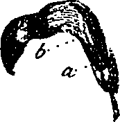 099/099330012101120_0.png