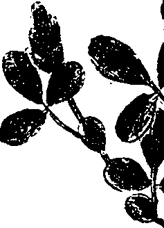 099/099330012101130_0.png