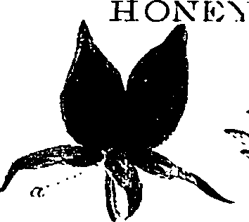 099/099330012101160_0.png