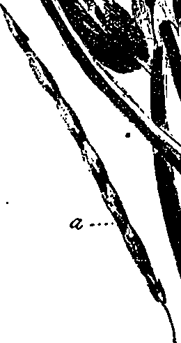 099/099330012101170_0.png