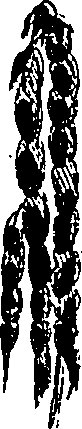 099/099330012101190_0.png