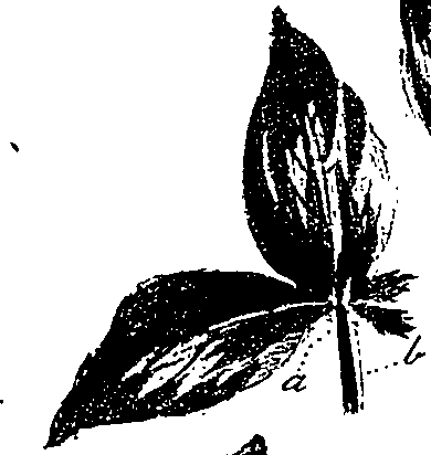 099/099330012101200_0.png