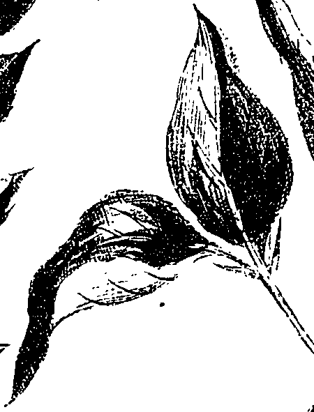 099/099330012101200_1.png