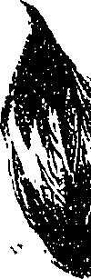 099/099330012101200_2.png