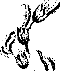 099/099330012101220_1.png