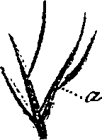 099/099330012101230_0.png