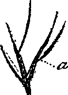 099/099330012101240_0.png