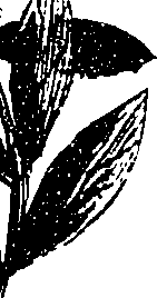 099/099330012200700_0.png