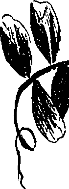 099/099330012200700_1.png