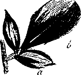 099/099330012200720_0.png