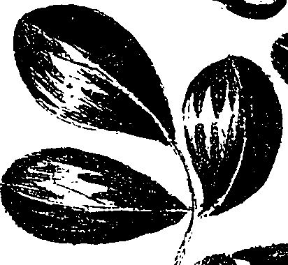 099/099330012200730_0.png