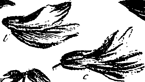 099/099330012200750_0.png