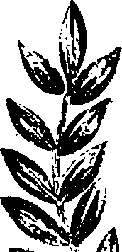099/099330012200770_0.png
