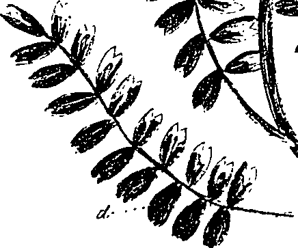 099/099330012200810_0.png
