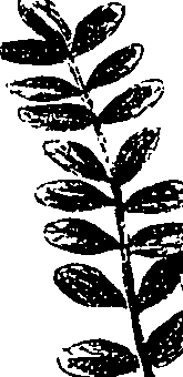 099/099330012200820_0.png