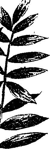 099/099330012200820_1.png