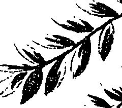 099/099330012200860_1.png