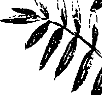 099/099330012200860_2.png
