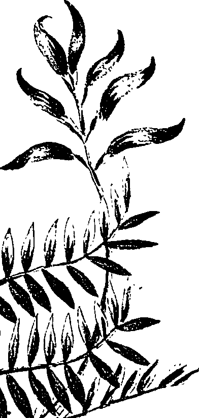099/099330012200860_3.png