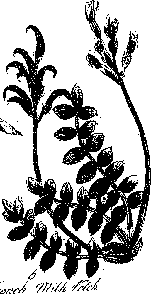 099/099330012200870_0.png