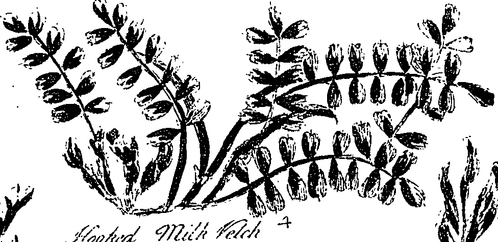 099/099330012200870_1.png