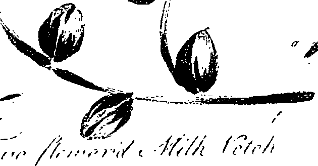 099/099330012200880_0.png