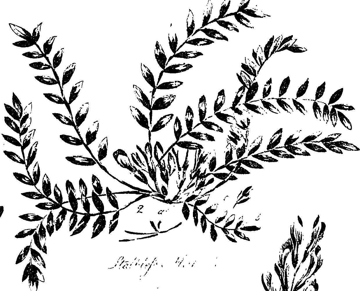 099/099330012200890_0.png