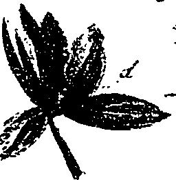 099/099330012200920_0.png