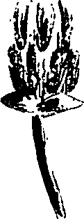 099/099330012200940_0.png