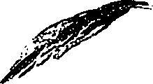 099/099330012200940_1.png