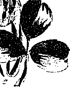 099/099330012200940_2.png