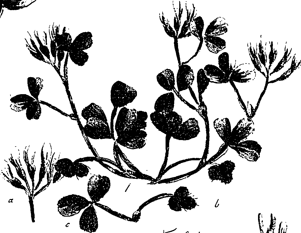 099/099330012200940_3.png