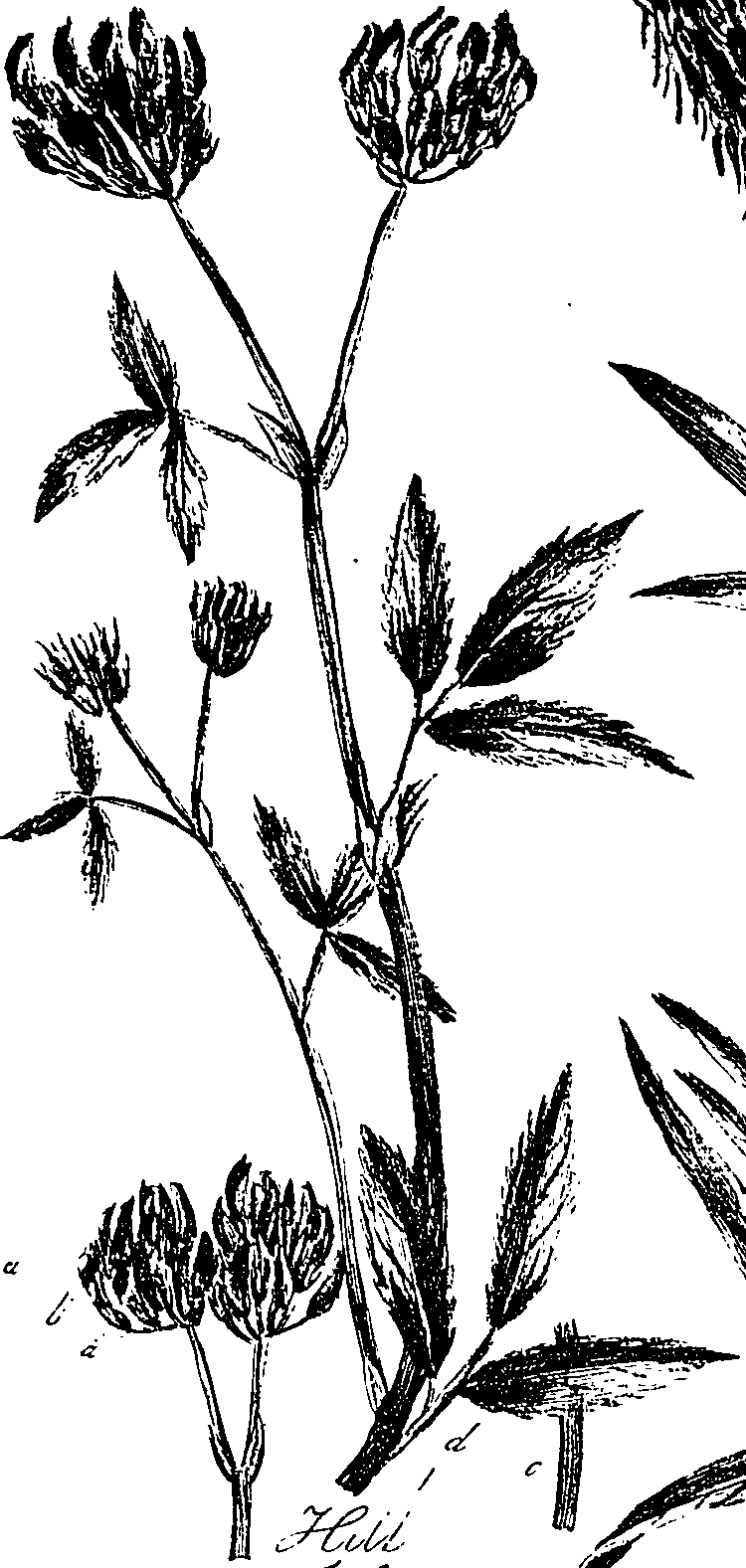 099/099330012200950_0.png