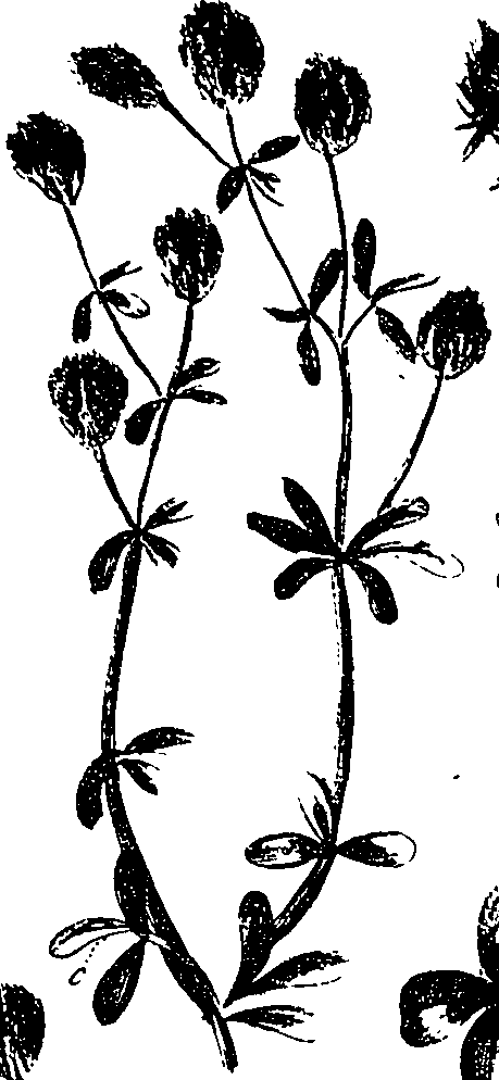 099/099330012200960_1.png