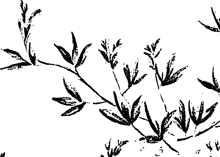 099/099330012200980_0.png